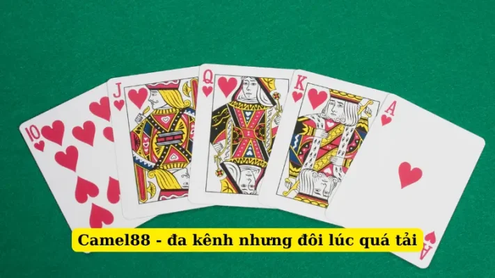 Camel88 - đa kênh nhưng đôi lúc quá tải