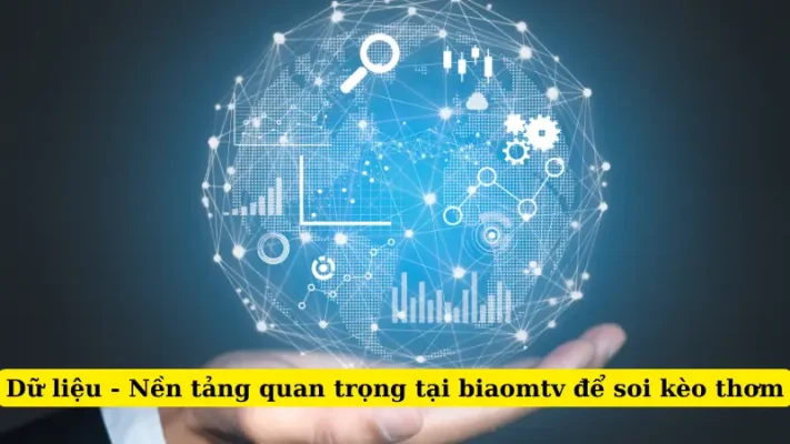 Dữ liệu - Nền tảng quan trọng tại biaomtv để soi kèo thơm